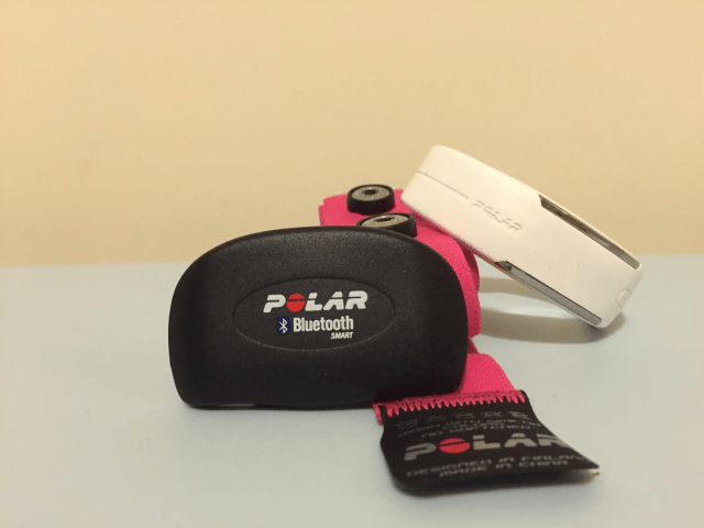 polar loop 2