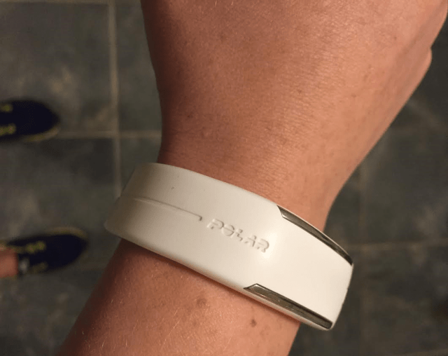 polar loop 2