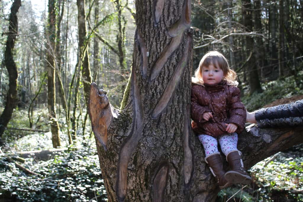 Bluestone Wales Family Holiday