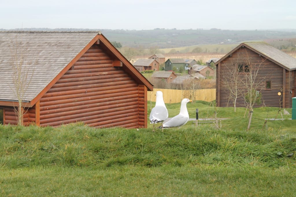 Bluestone Wales Family Holiday